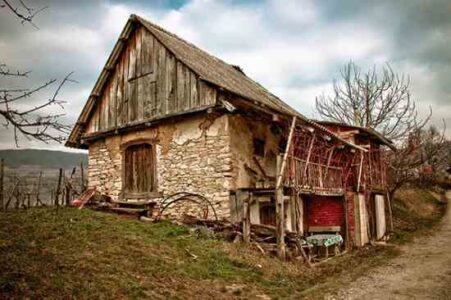 Buying and Preparing Homestead Land Image